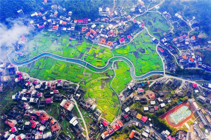 我们的新时代 │ 泉州洛江:生态美产业旺 奋力谱写新时代乡村振兴新篇章-洛江区人民政府